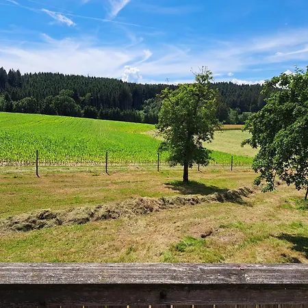 Holiday home Haus Waldblick Esternberg